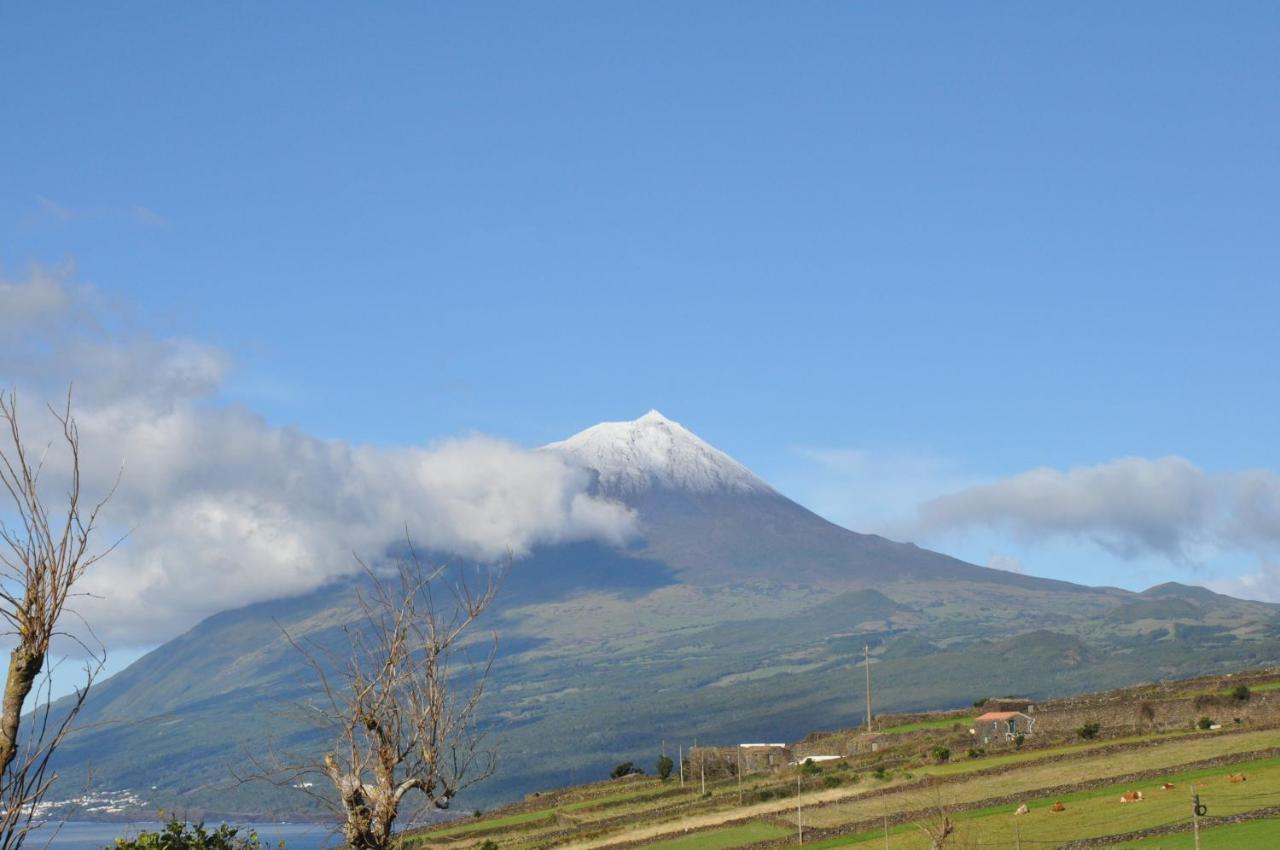 Casa da Abrótea Lajes do Pico Exterior foto
