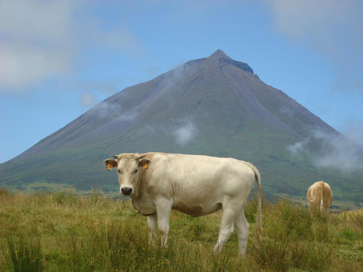 Casa da Abrótea Lajes do Pico Exterior foto