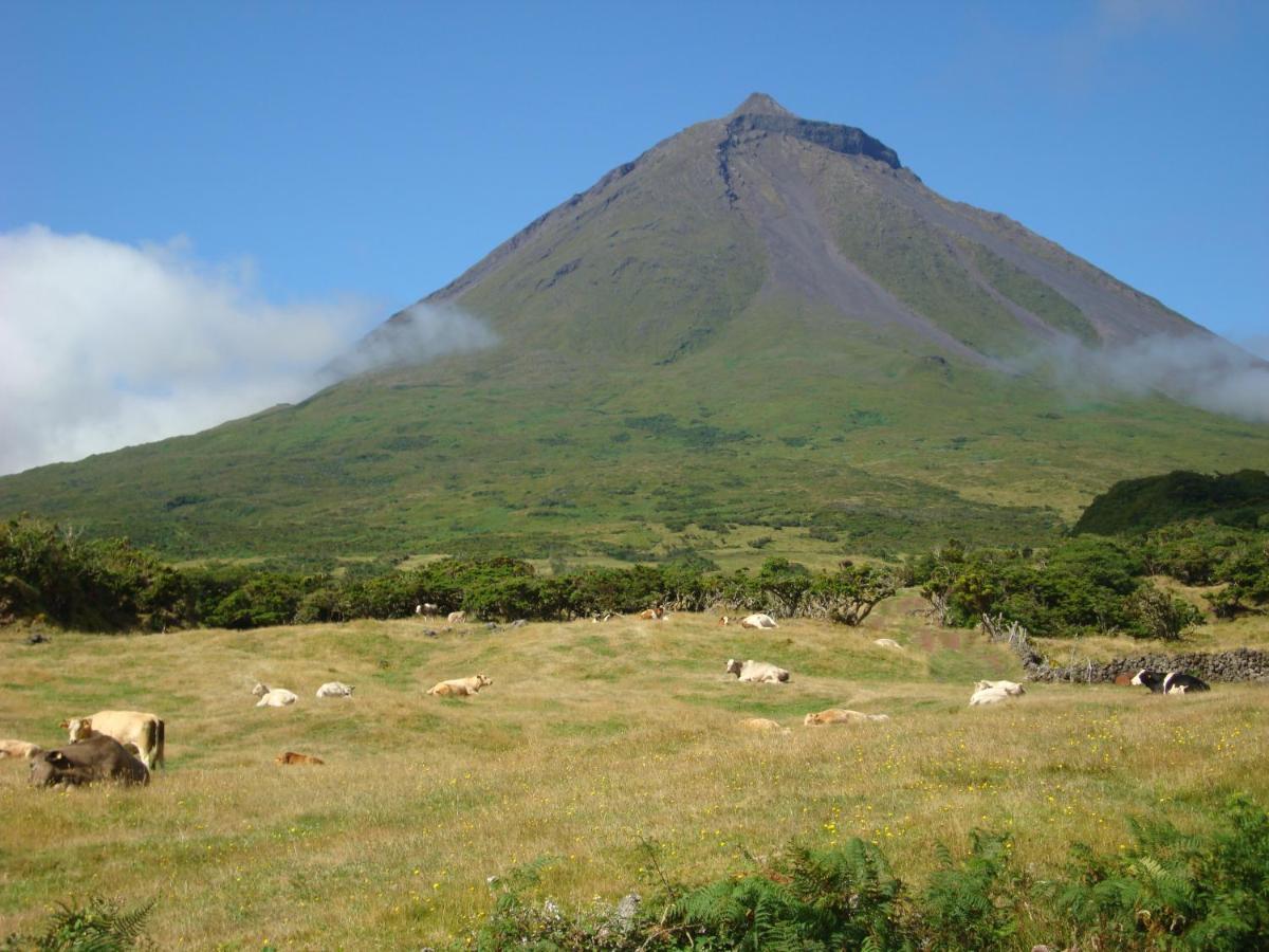 Casa da Abrótea Lajes do Pico Exterior foto